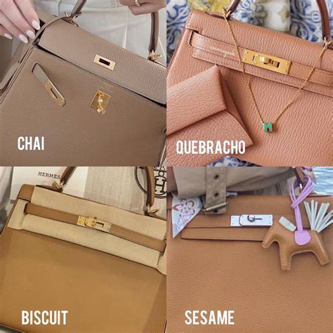 chai vs biscuit hermes|hermes chai undertone.